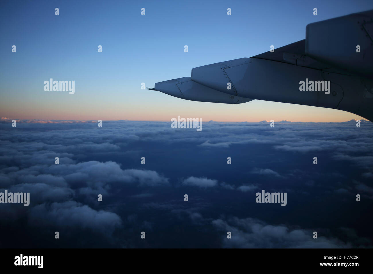 Aile d'avion volant dans le ciel Banque D'Images