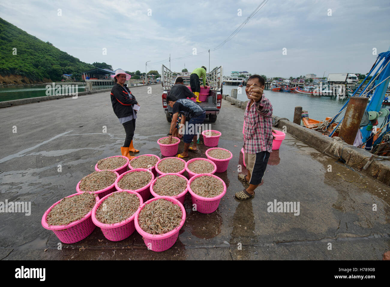 L'industrie de la crevette sur la jetée Ao Noi, Prachuap Khiri Khan, Thaïlande Banque D'Images