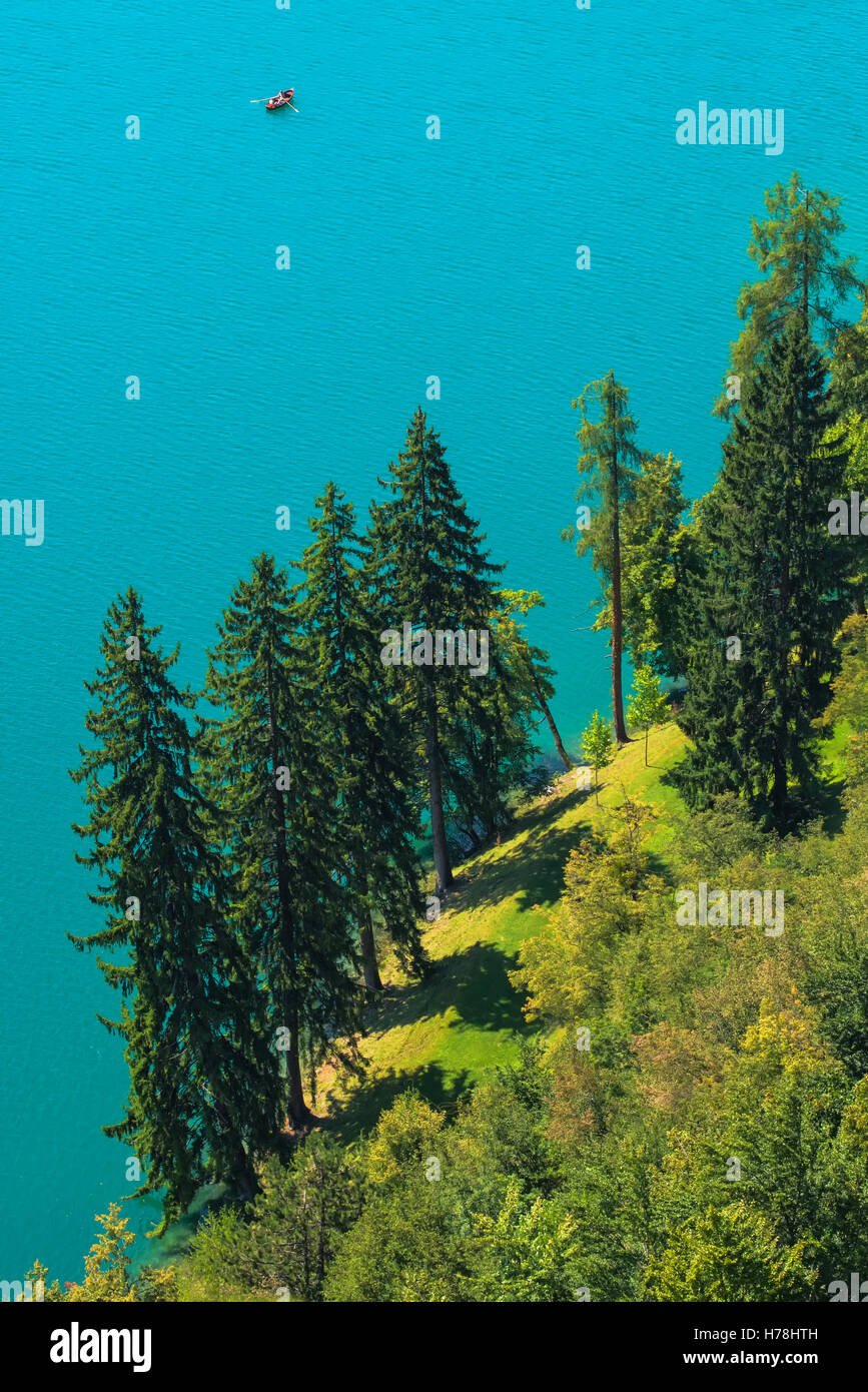 Vue aérienne de pin à feuilles persistantes et des sapins par le lac de Bled en Slovénie sur l'après-midi d'été ensoleillé, clair comme surface d'eau douce Banque D'Images