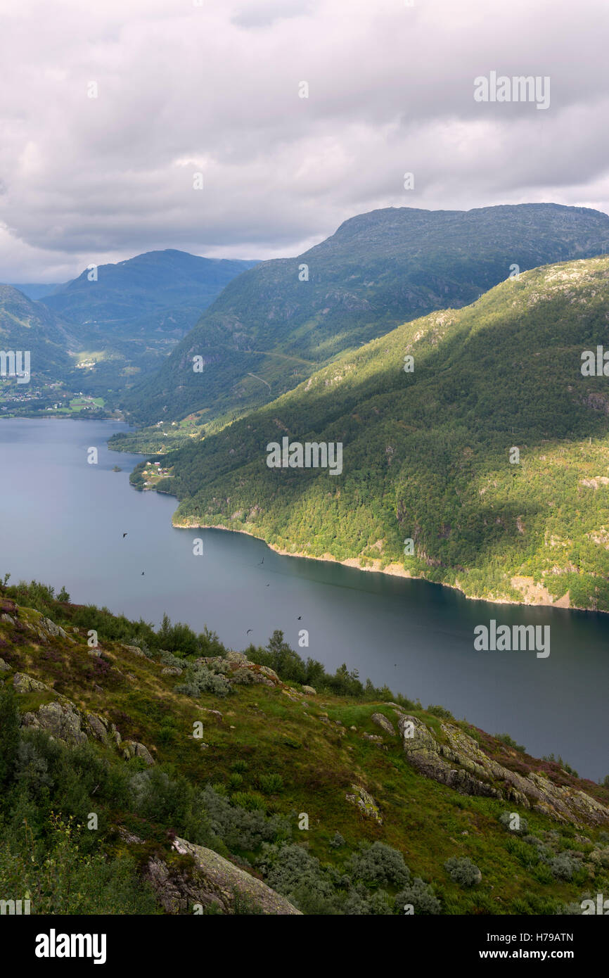 Avis de Sogn dans le sud de la Norvège Banque D'Images