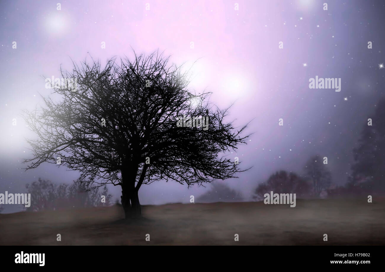 Arbre généalogique de conte magique dans le noir avec des lumières et de la brume Banque D'Images