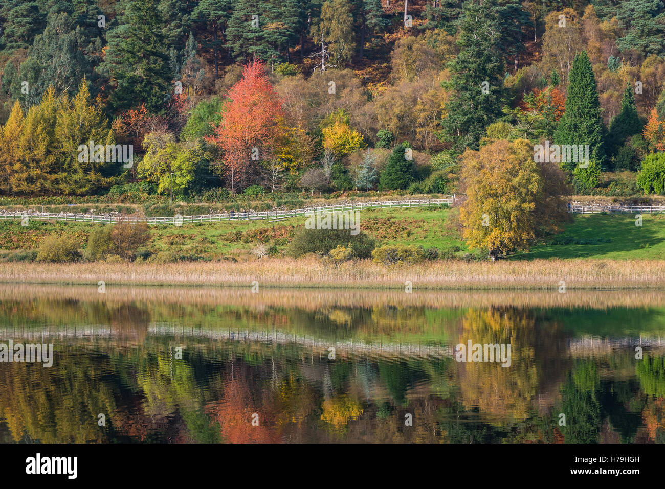 Glendalough, Irlande Banque D'Images
