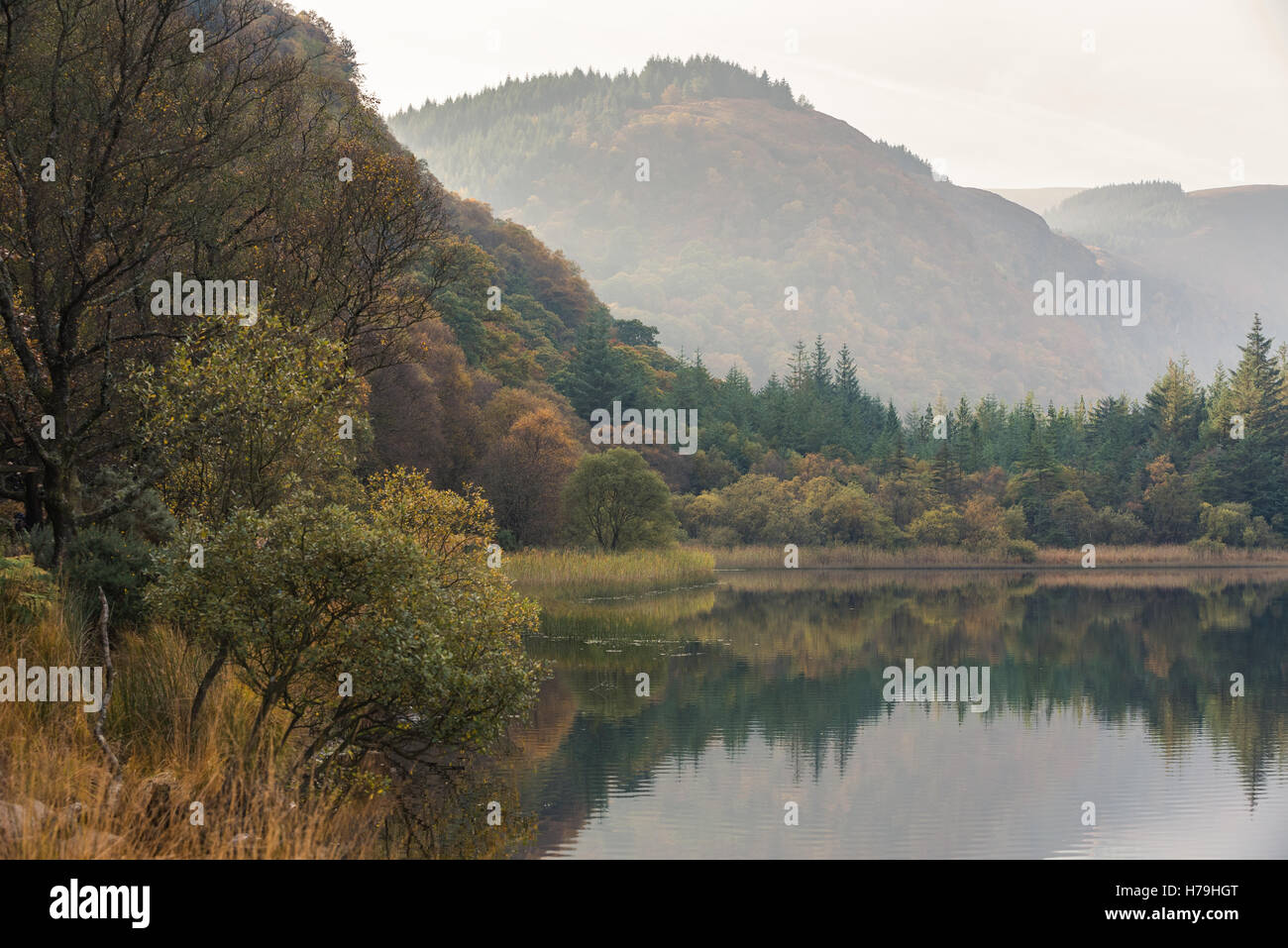 Glendalough, Irlande Banque D'Images