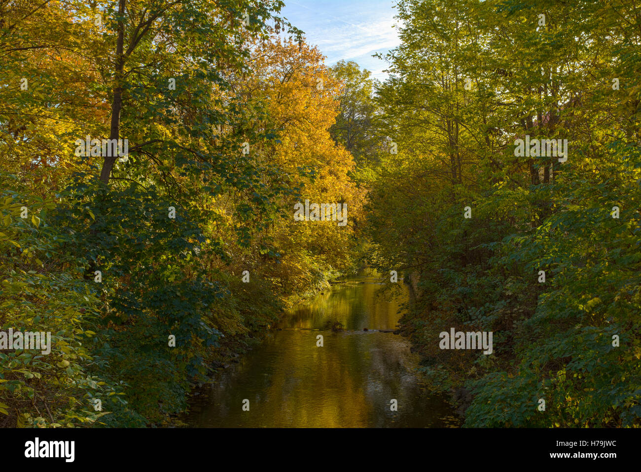 Rivière et arbres en automne Banque D'Images