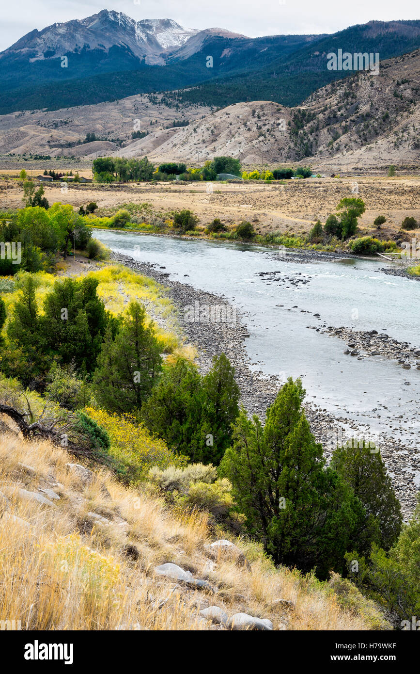 Vue de la rivière Yellowstone au Montana Banque D'Images