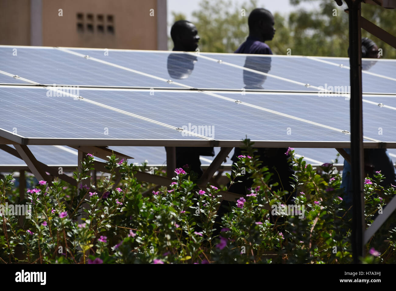 L'électrification rurale et de l'énergie solaire en Afrique subsaharienne. - 04/03/2016 - - Yorosso (Mali) Mars 4th, 2016 : centrale solaire de Yorosso. - Nicolas Remene / Le Pictorium Banque D'Images
