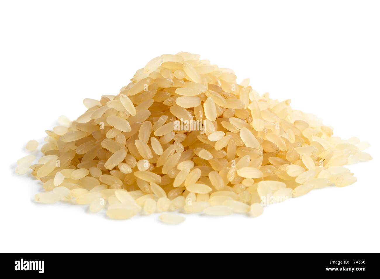 Politique du riz (Oryza sativa), de grains de riz, riz à grains Photo Stock  - Alamy