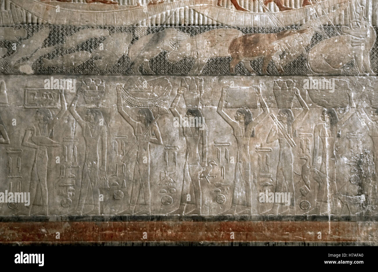L'Égypte. Saqqara. Mastaba de Ti. Ca. 2400 AV 5e dynastie. Vieux Royaume. Relief représentant des esclaves portant des offrandes. Banque D'Images