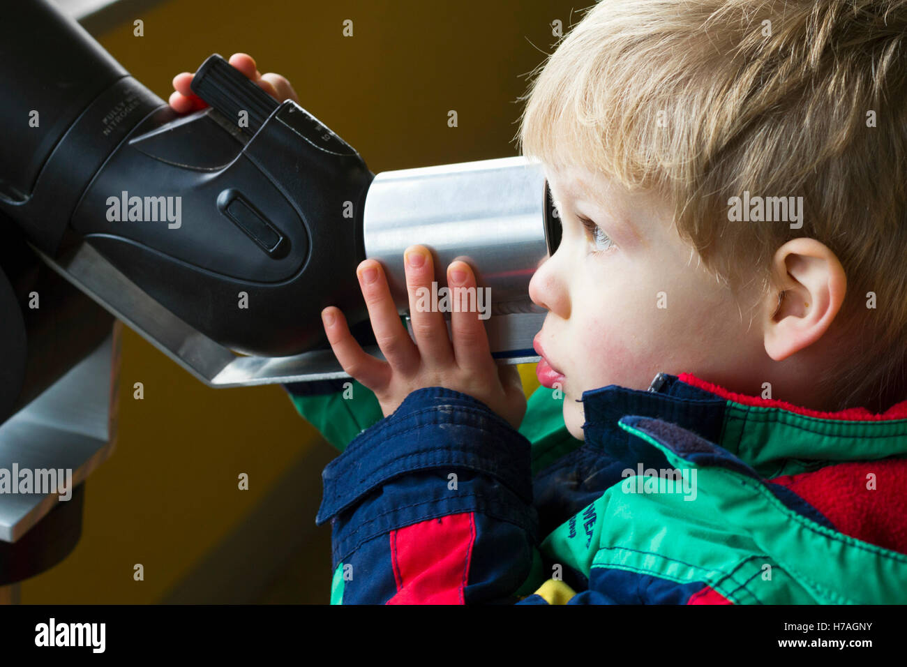 Jeune garçon regarder les oiseaux au moyen d'un télescope Banque D'Images