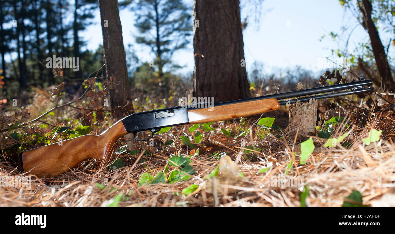 C'est la carabine semi-automatique qui tire des munitions à percussion annulaire dans une forêt Banque D'Images