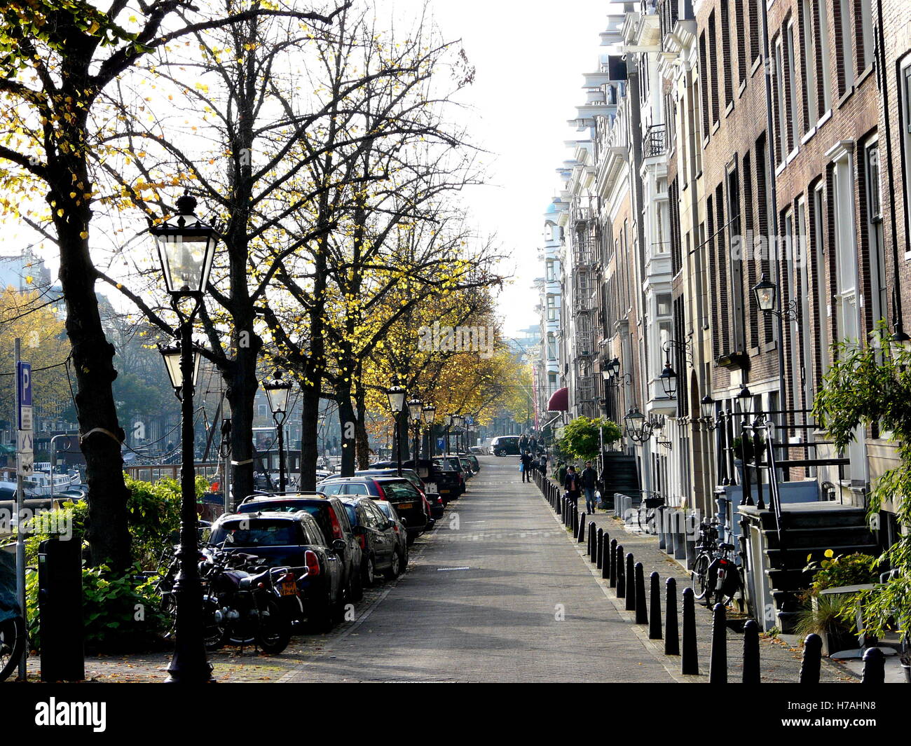 Rue de la ville, près du canal d'Amsterdam. La vie urbaine de la ville, ruelle tranquille, la luminosité de l'après-midi. Rangée de maisons et les voitures et les arbres. Pays-bas quartier. Banque D'Images