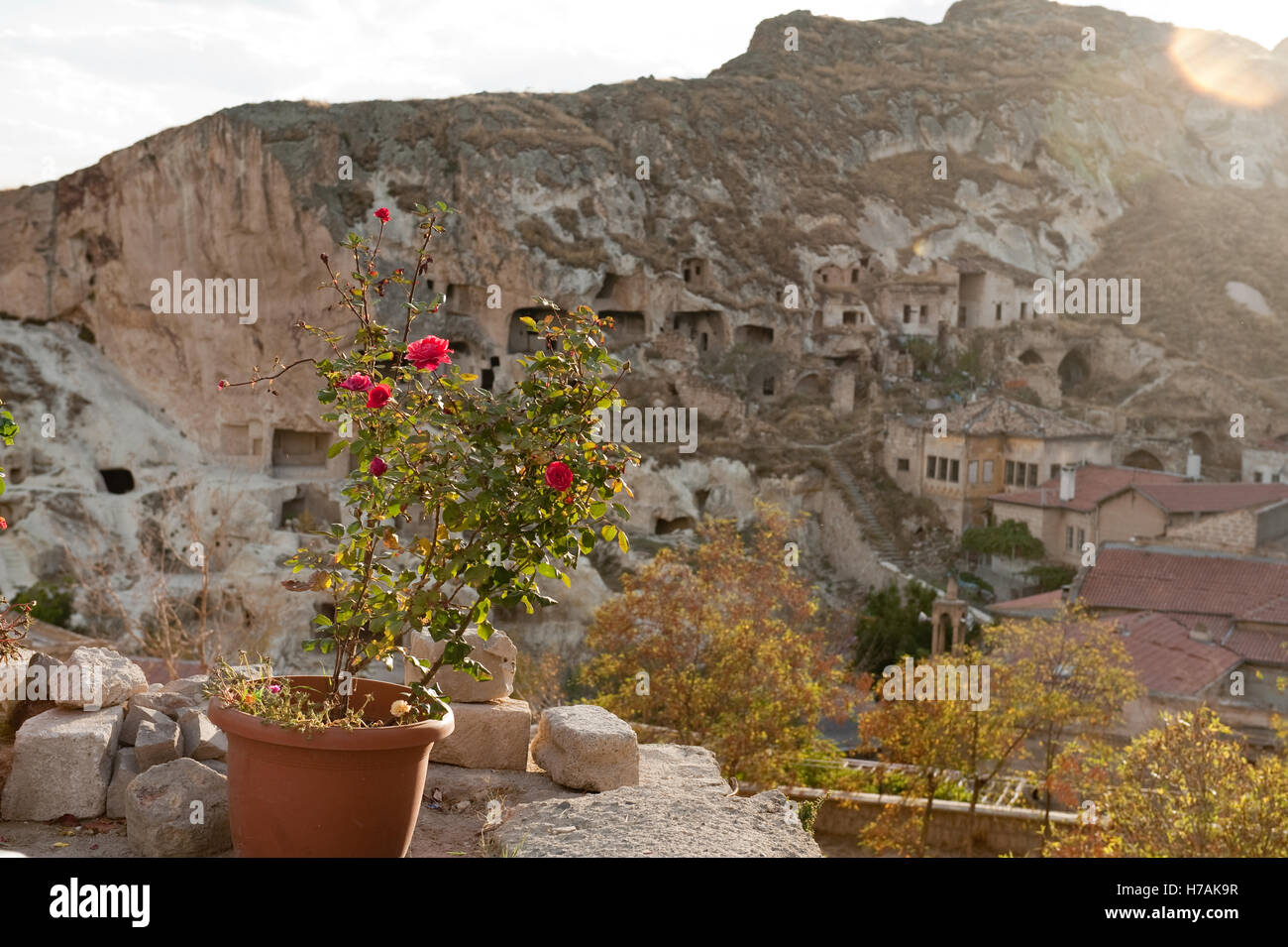 Rose sur terrasse de colline à Urgup, avec vue sur des habitations troglodytiques. La Cappadoce en Turquie, Province Nevsehir Banque D'Images