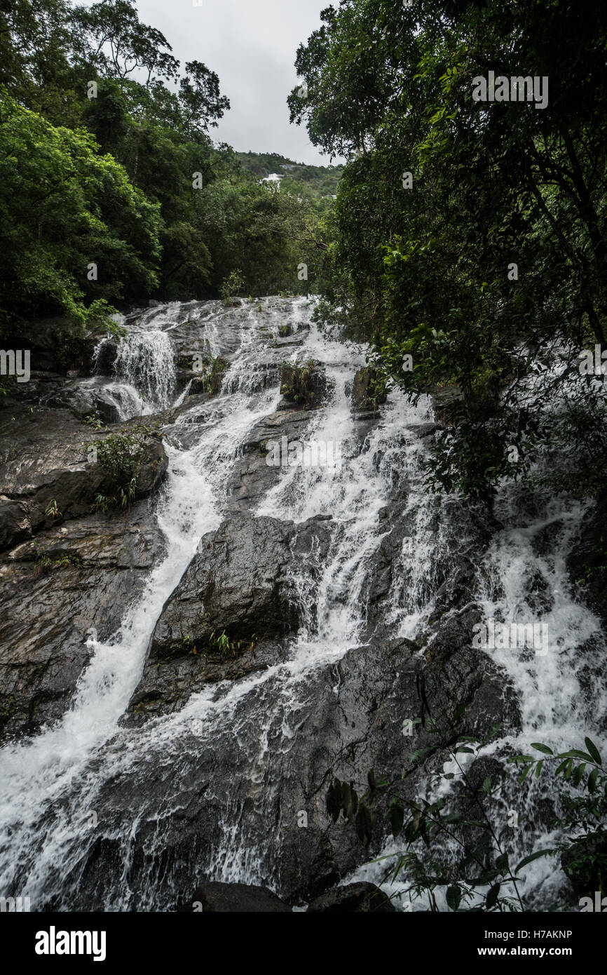 Libre de belle cascade dans nature vert tropical forest Banque D'Images