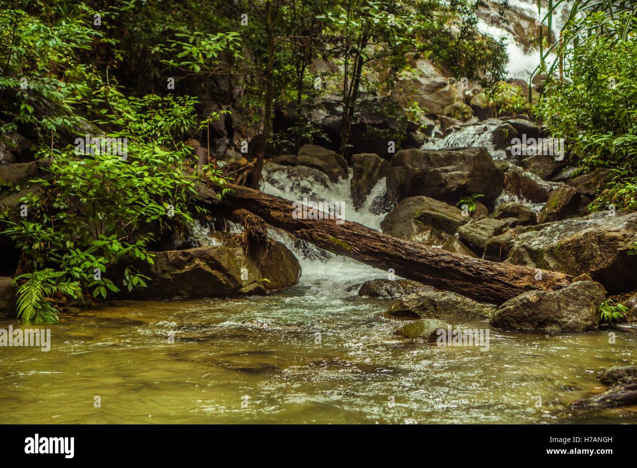 Belle cascade avec lac et arbre tombé dans la nature de la direction générale des forêts tropicales vert Banque D'Images