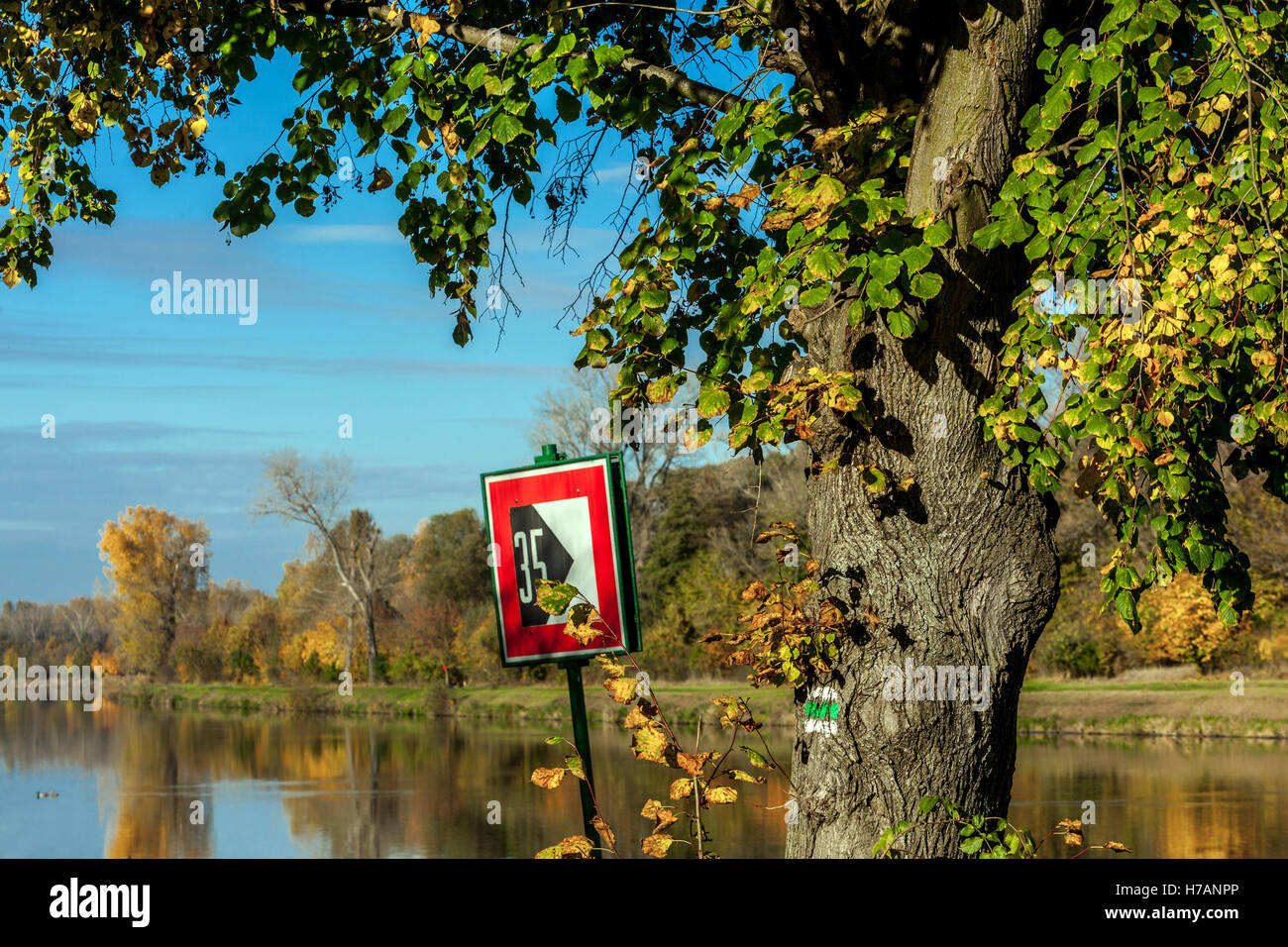 Couleurs d'automne le long du fleuve Elbe, Central Bohemia, République Tchèque Banque D'Images