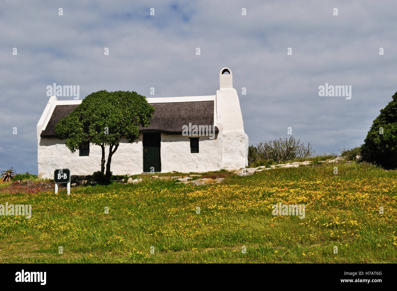 L'Afrique du Sud, sur la route de cap Agulhas : paysage idyllique à la campagne avec un white Bed and Breakfast, une pelouse verte et fleurs jaune Banque D'Images