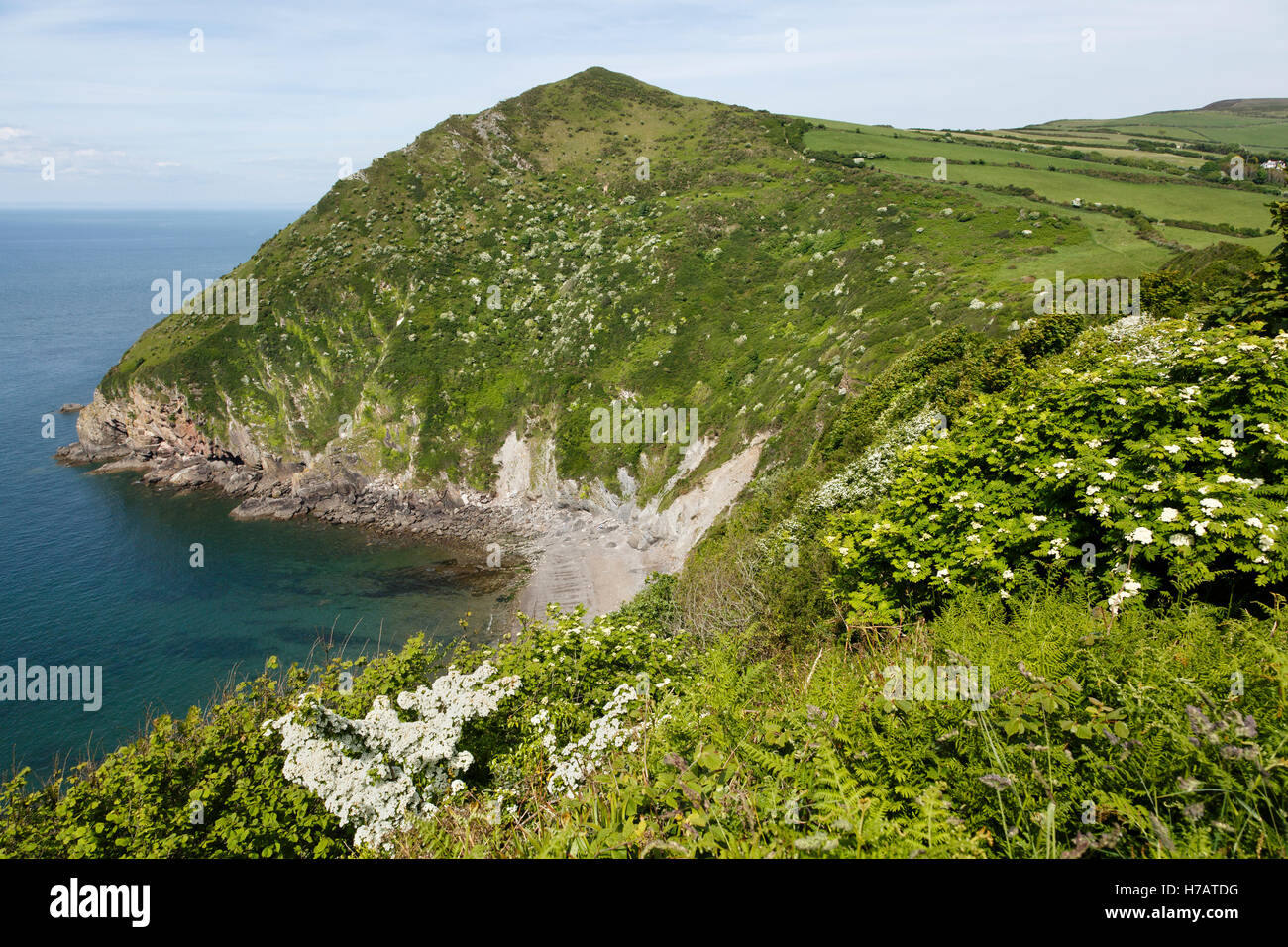 Grande plage du pendu et Poirier, Combe Martin, Devon Banque D'Images