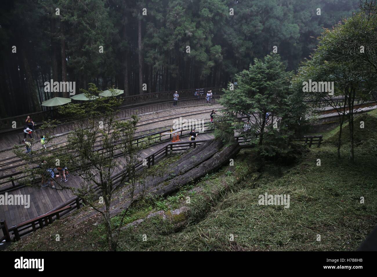 26 août 2016 - Chine - Taiwan,CHINE-26 Août 2016 : (usage éditorial uniquement. Chine)..décor d'Alishan National Scenic Area dans le sud-est de la Chine, Taiwan, le 26 août 2016. L'Alishan National Scenic Area est une station de montagne et la réserve naturelle située dans les montagnes de Chiayi County à Taiwan. Il comprend quatre villages, montagnes sauvages, des cascades, des plantations de thé de haute altitude, la forêt, les chemins de fer et Alishan plusieurs sentiers de randonnée. La région est populaire parmi les touristes et les alpinistes, et Alishan, ou le Mont Ali, lui-même est devenu l'un des principaux monuments associés à Taiw Banque D'Images