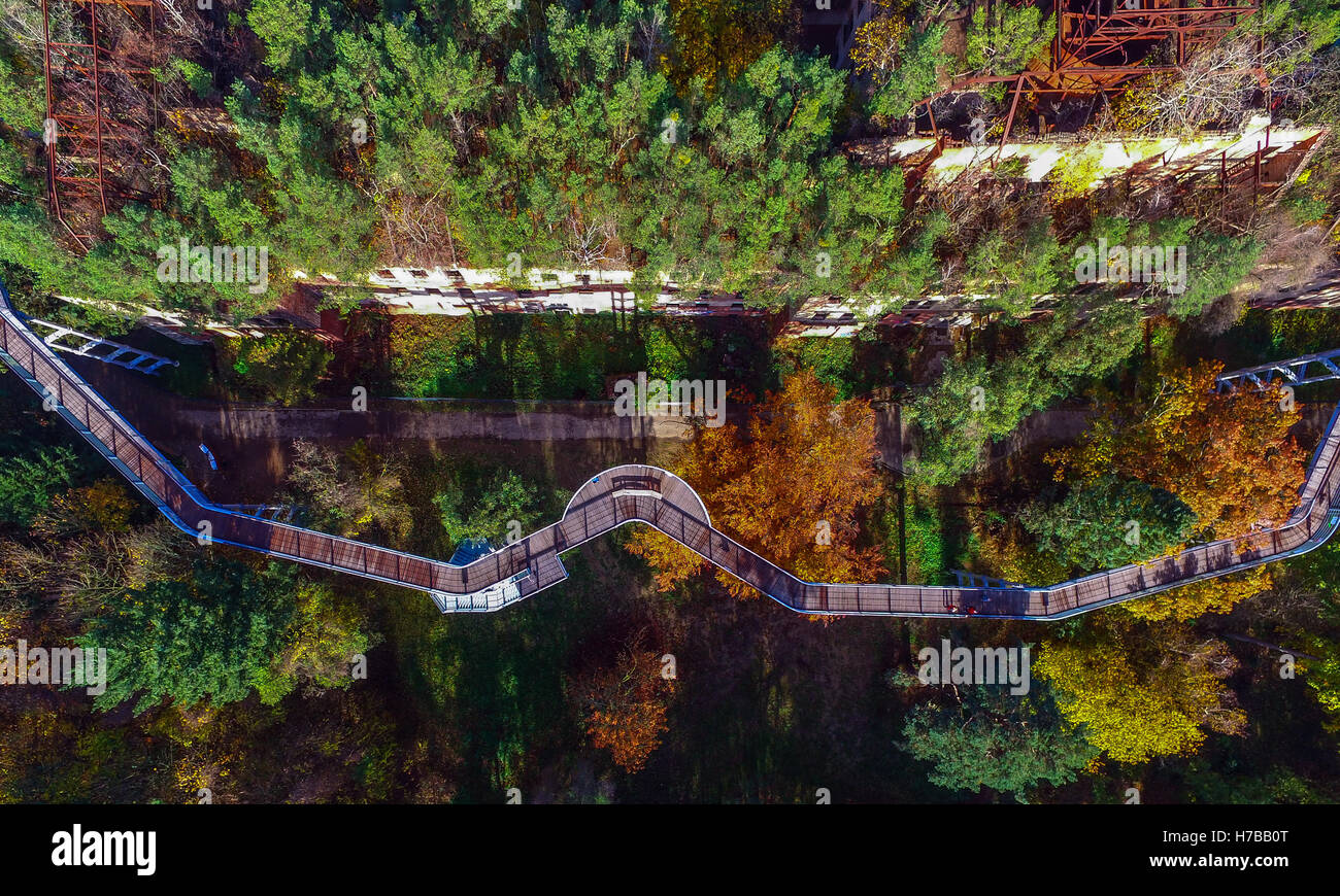 La voie de la canopée dans la forêt mixte de couleur automnale dans  Beelitz-Heilstatten, Allemagne, 3 novembre 2016. A 320 mètres de long  parcours accrobranche a été ouvert au sein de l'ancien