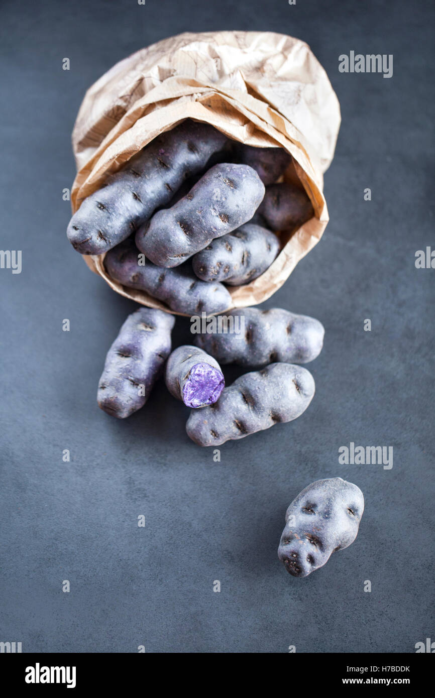 , Également appelé Vitelotte noire, Vitelotte Négresse ou Truffe de Chine, est une cuisine française variété de pommes de terre bleu-violet. Banque D'Images