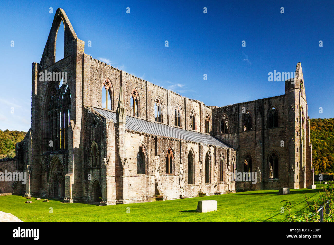 Abbaye de Tintern dans Monmouthshire, Wales. Banque D'Images
