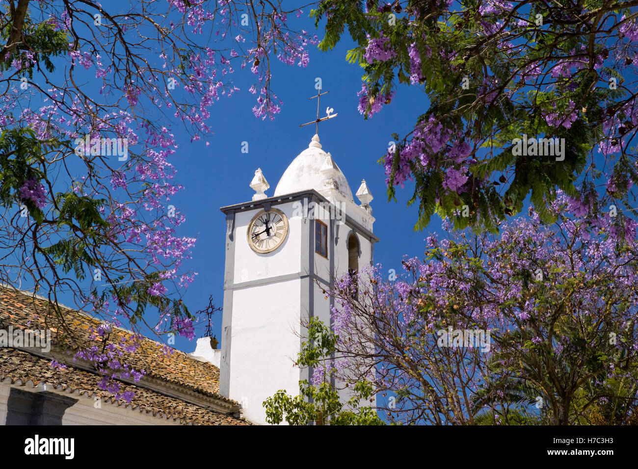 Le Portugal, l'Algarve, Ferragudo village tour de l'horloge de l'église et jacaranda tree in flower Banque D'Images