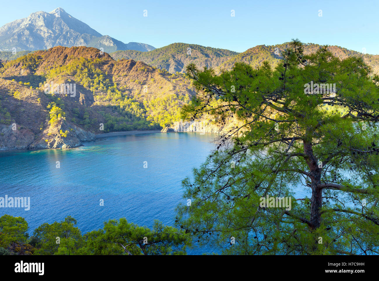 Paysage de montagne Olympos turc avec Plage, Forêt verte Banque D'Images