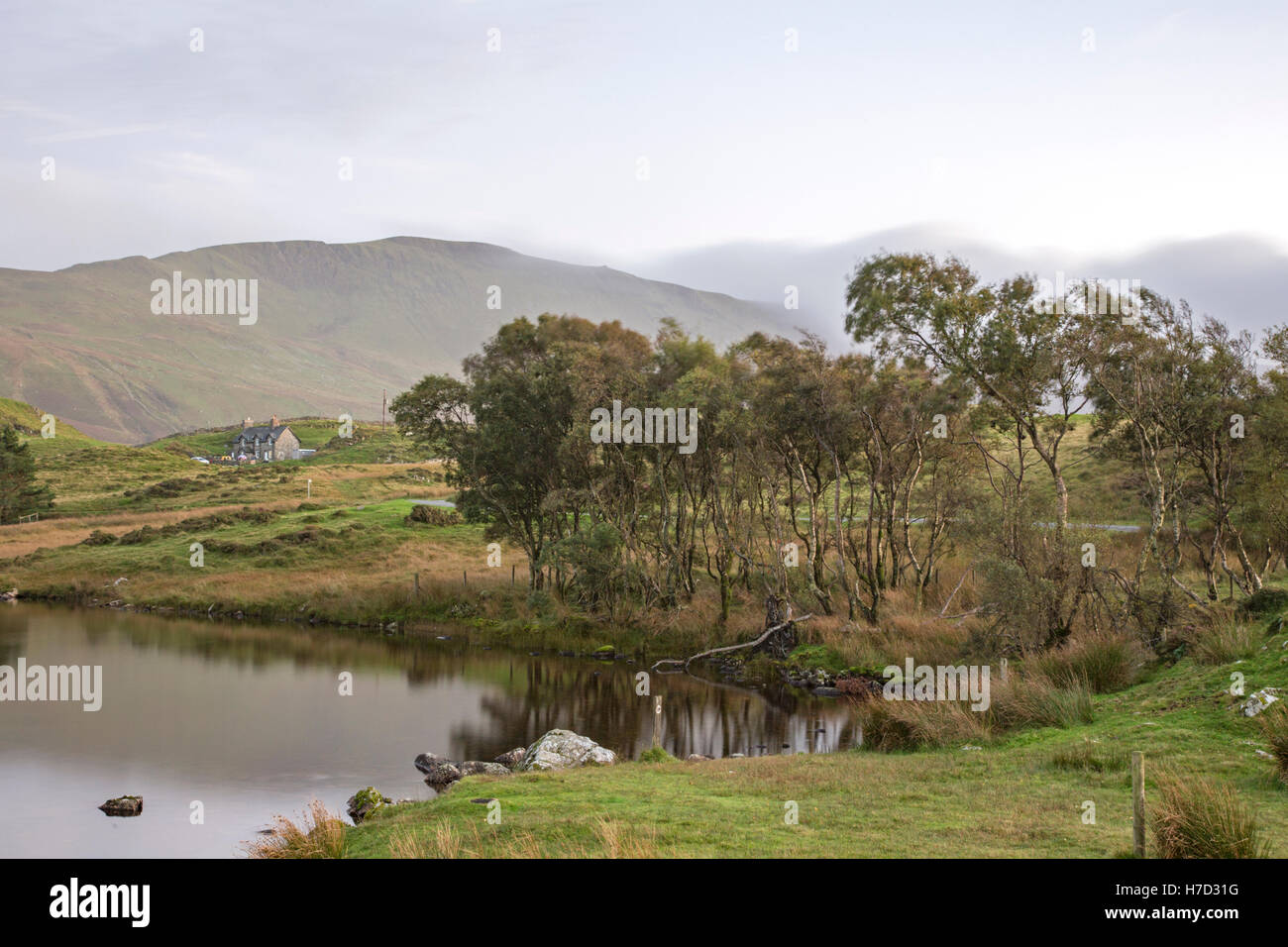 Cregennan les lacs, Gwynedd, Parc National de Snowdonia, le Nord du Pays de Galles, Royaume-Uni Banque D'Images