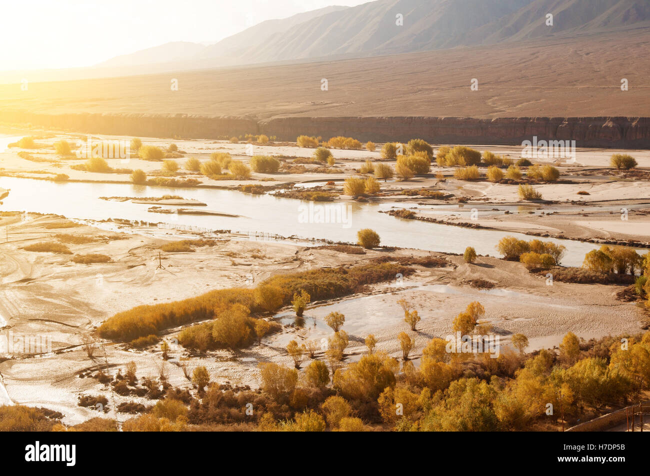 Au cours de la saison d'automne de l'Indus Banque D'Images