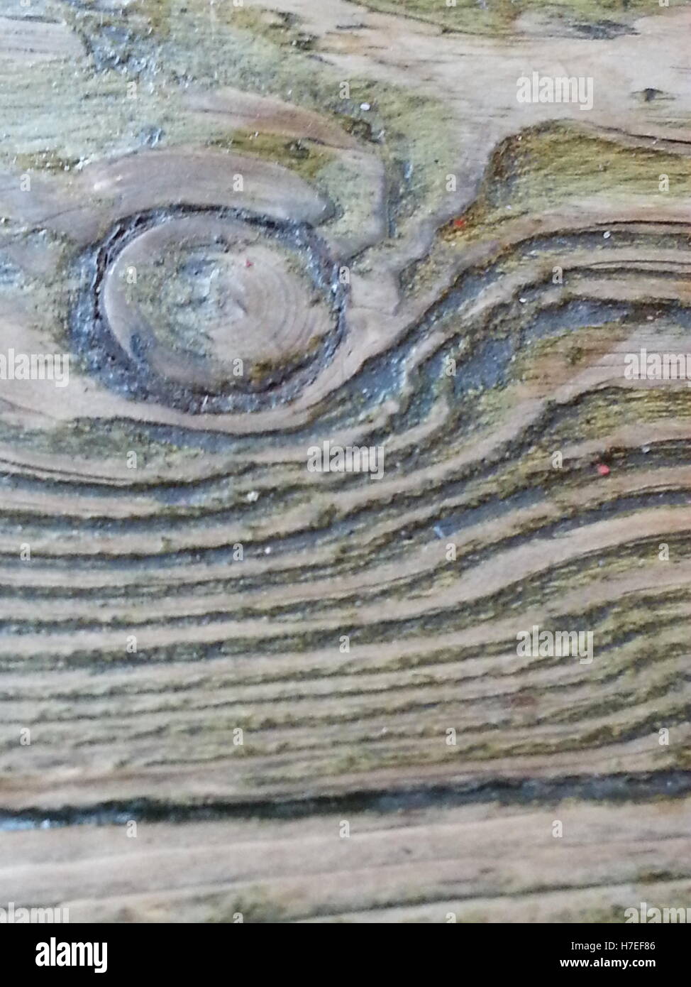 Close up of stained wood grain Banque D'Images