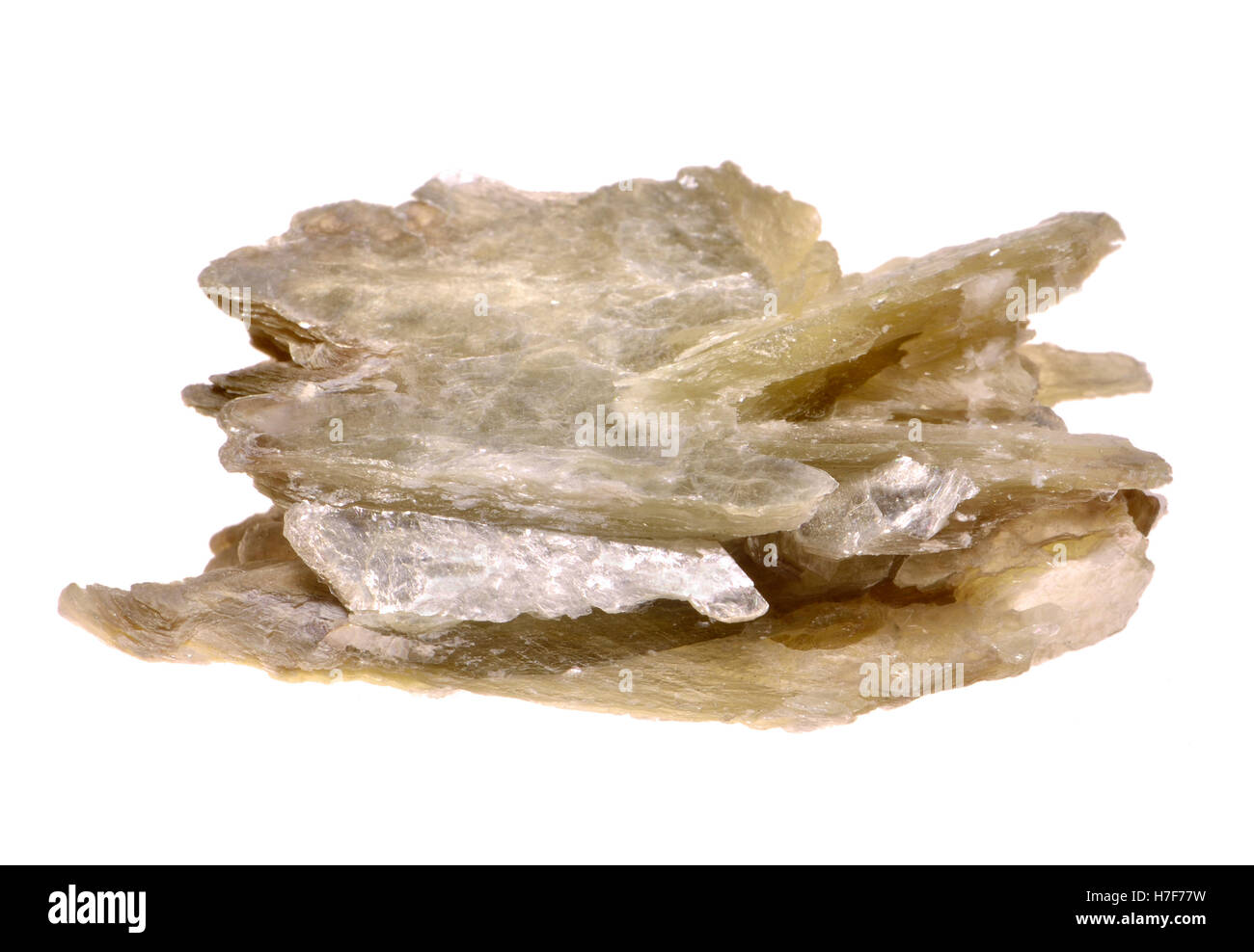 La muscovite Mica - la forme la plus commune de silicate d'aluminium et de potassium (mica) Banque D'Images