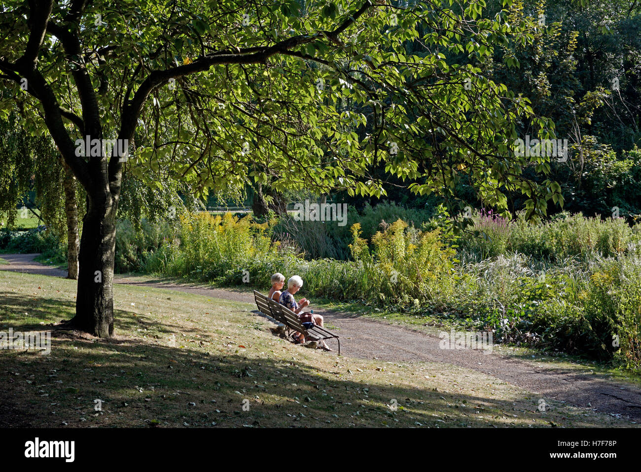 Les femmes à la retraite assis à Reykjavik jardin parc norwich norfolk angleterre Banque D'Images