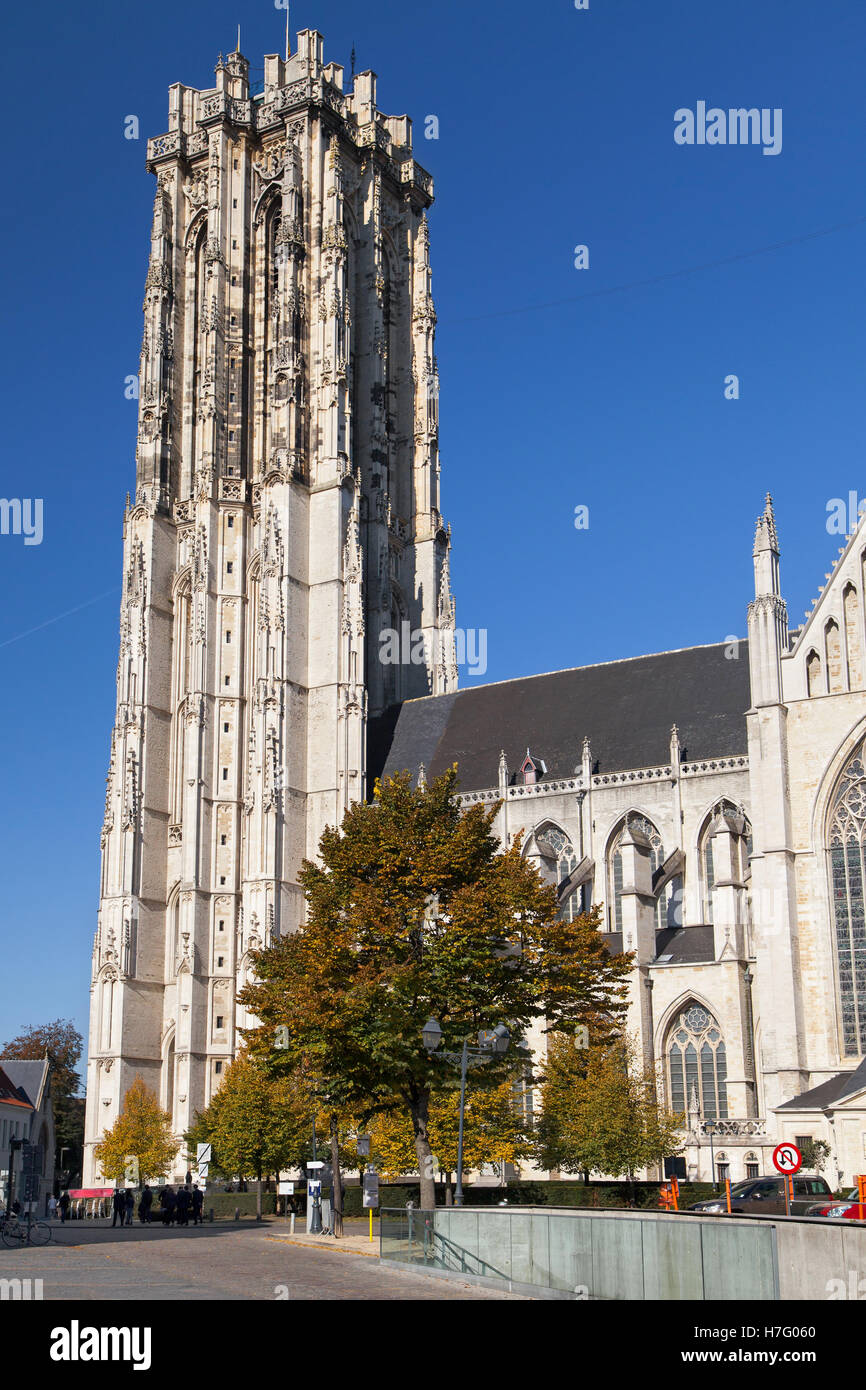 La tour de la Cathédrale Saint Rumbold à Mechelen, Belgique. Banque D'Images