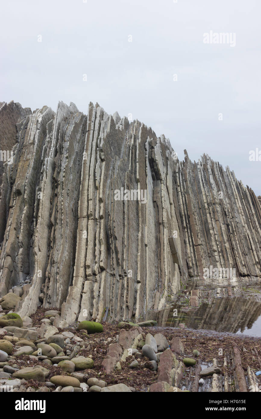 Petit à flysch de la côte de Zumaia (Pais Vasco, Espagne). Banque D'Images