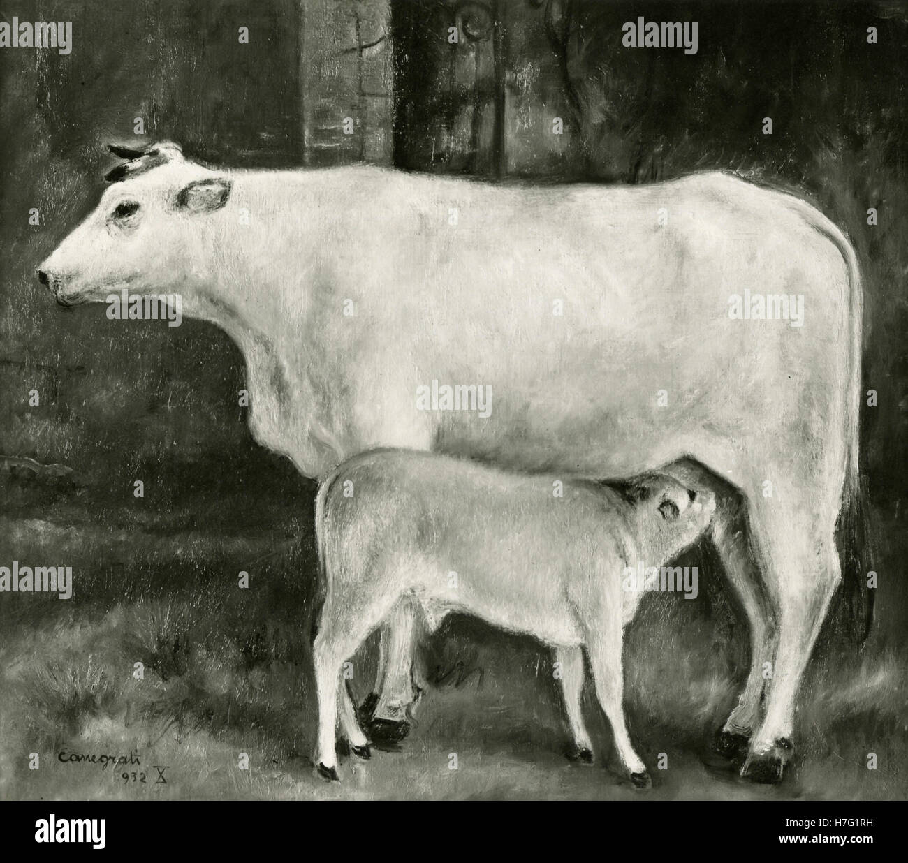 Peinture représentant une vache et son veau, par Amerigo Canegrati, Italie Banque D'Images