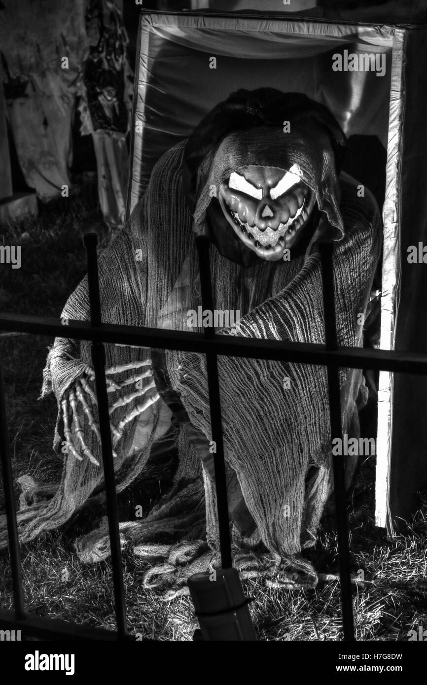 Zombie s'échappe une boîte. Derrière une clôture. Décorations d'Halloween. Affichage de cour d'Halloween. Banque D'Images