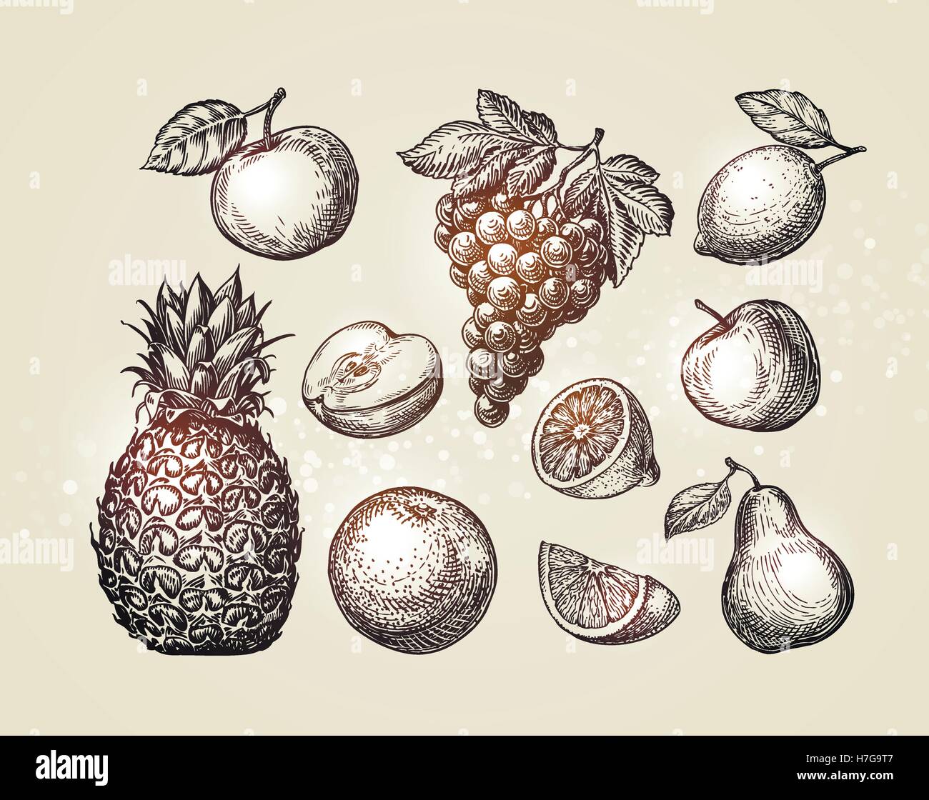 Fruits Collection esquisse. Les éléments dessinés à la main, comme l'ananas, poire, pomme, raisin, orange, citron Vector illustration Illustration de Vecteur