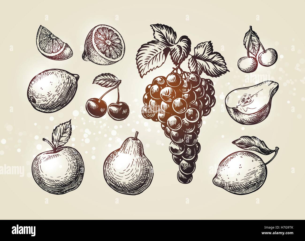 Fruits jeu de croquis. Les éléments dessinés à la main, tels que le raisin, citron, cerise, poire, pomme Vector Illustration de Vecteur