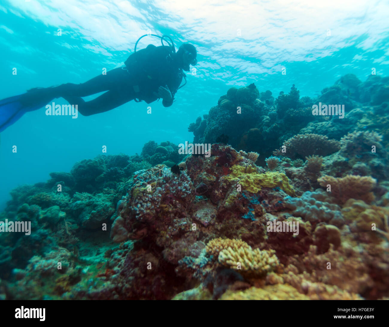 Silhouette of Man-plongeur entre surface de l'eau et de fonds marins, les Maldives Banque D'Images