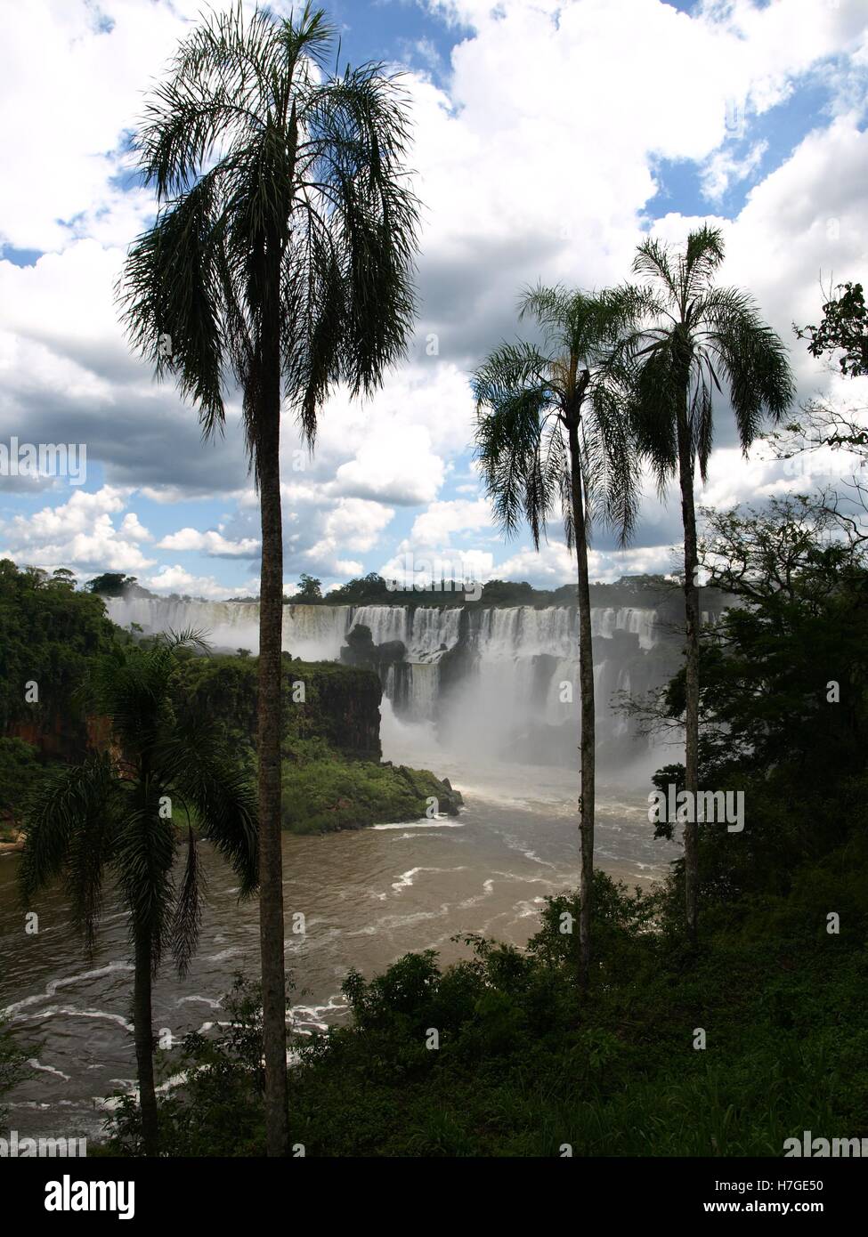 Iguassu Falls à travers les palmiers avec un ciel menaçant au-dessus Banque D'Images