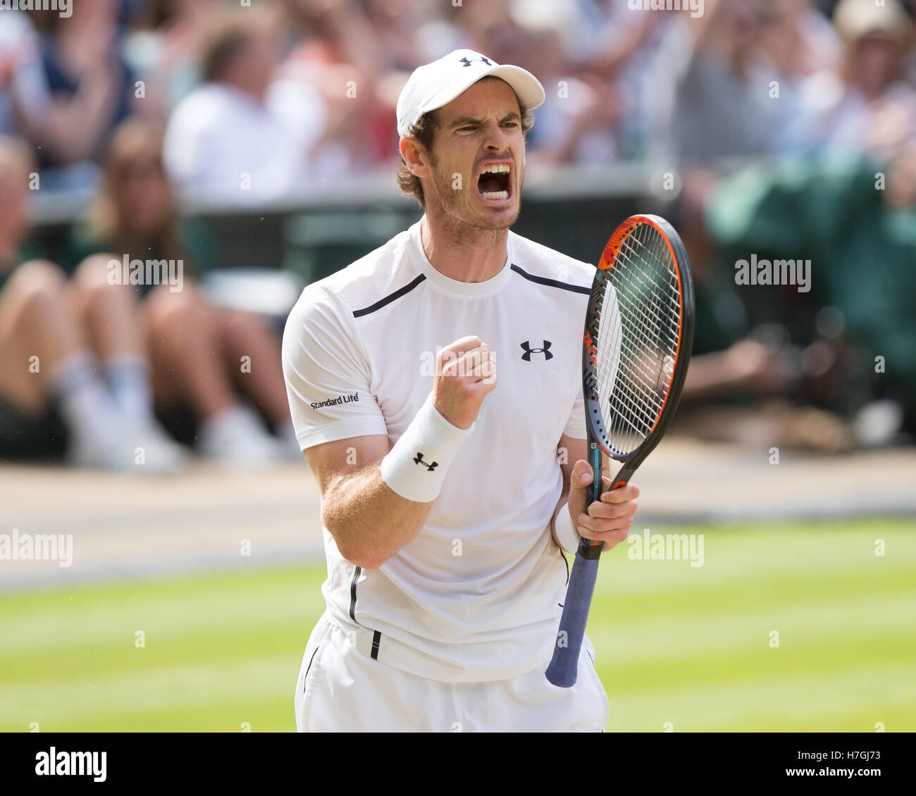 Andy Murray (GBR) célèbre à Wimbledon Tennis Championships 2016 Banque D'Images