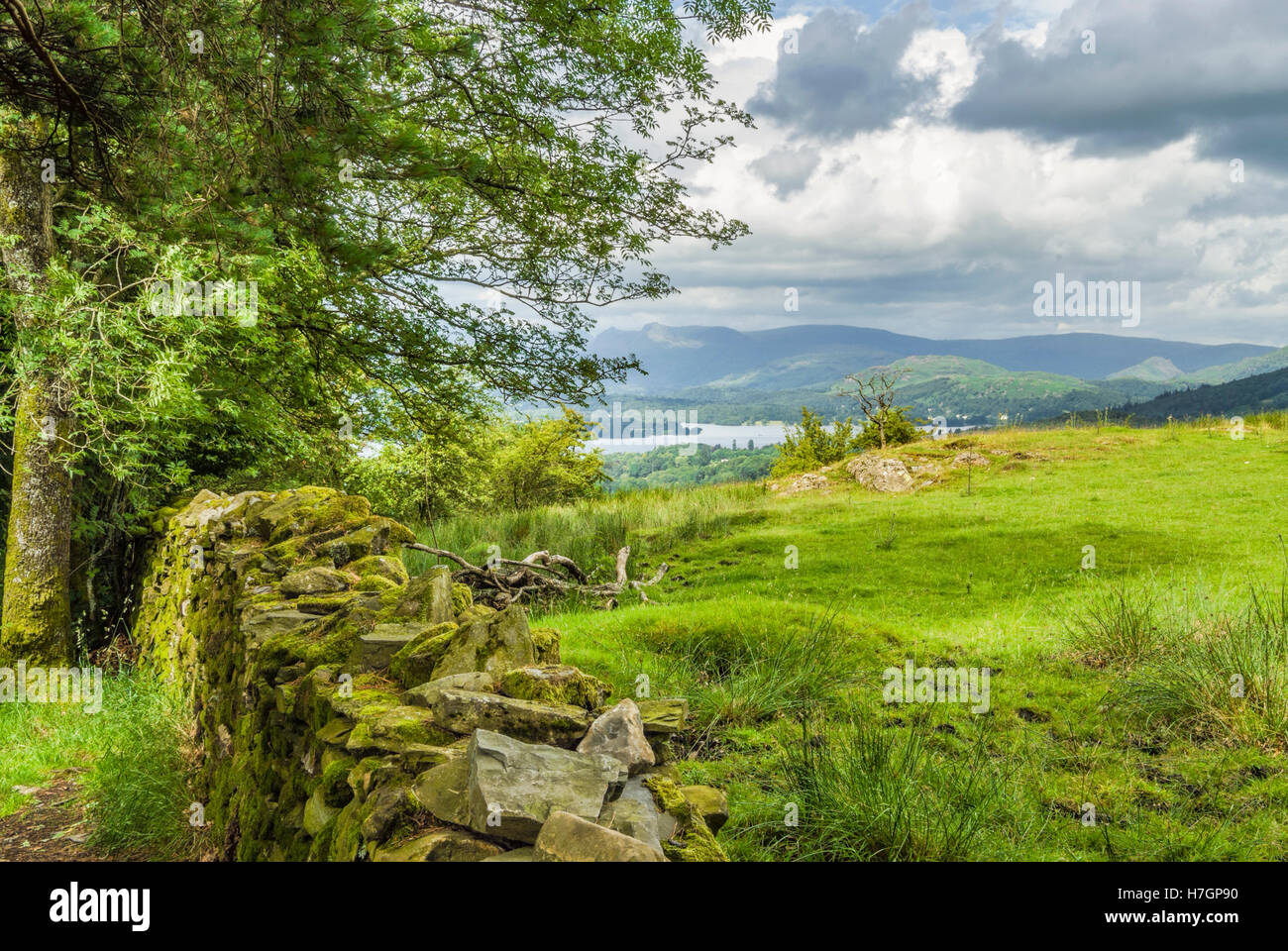 Paysage à la Lake District, aussi connu sous le nom de "lacs" ou Lakeland, nord-ouest de l'Angleterre. Banque D'Images