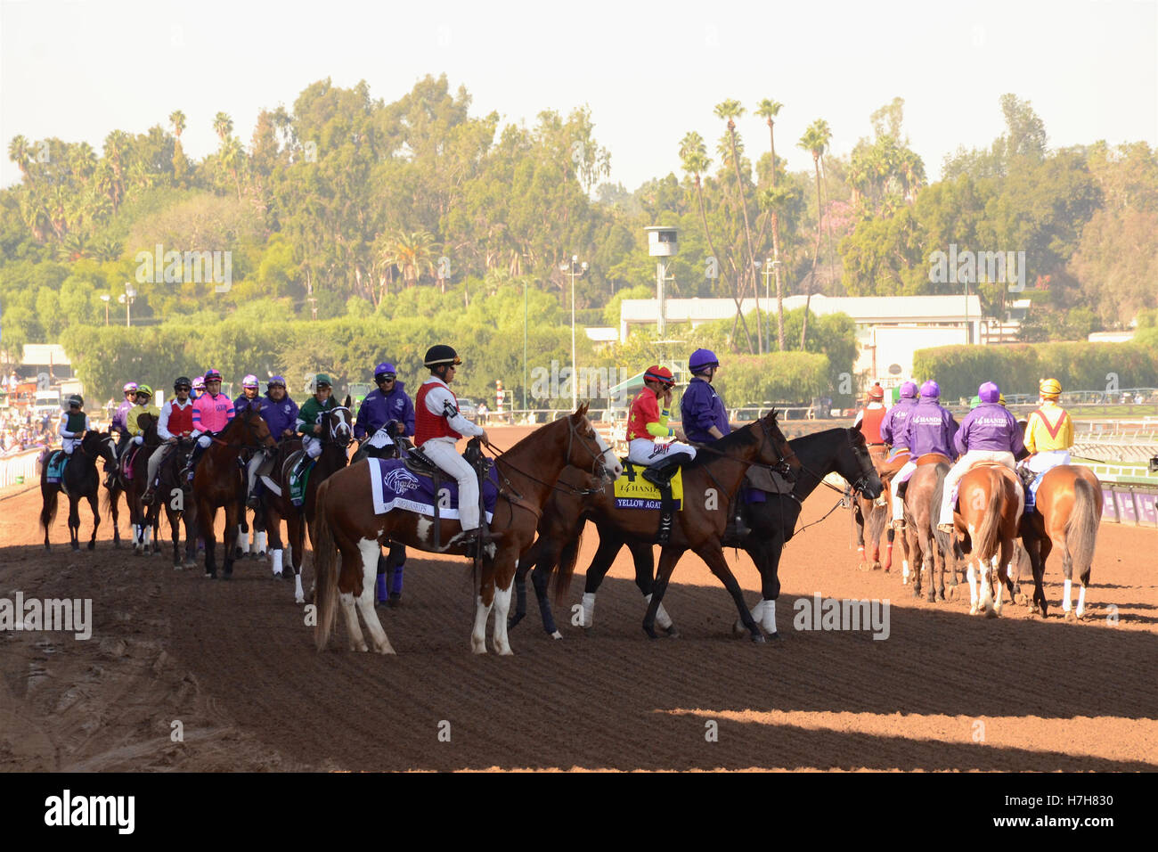 Arcadia, Californie, USA. 5ème Nov, 2016. Atmosphère à la Breeders' Cup 2016 Championnats du monde à Santa Anita Park le 5 novembre 2016 à Arcadia, Californie. Crédit : l'accès Photo/Alamy Live News Banque D'Images