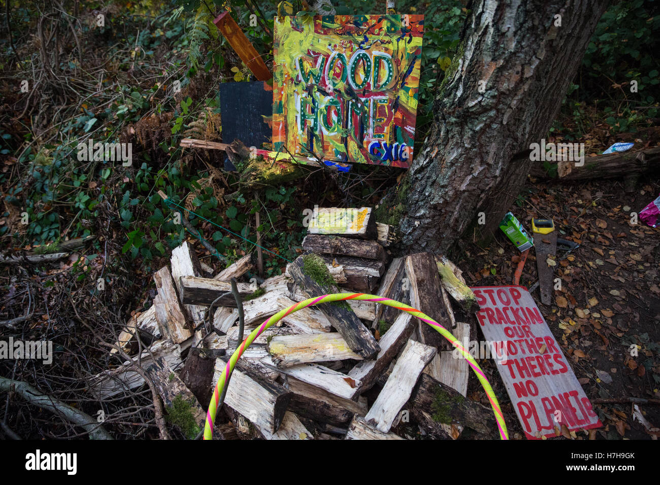 Leith Hill, au Royaume-Uni. 5 novembre, 2016. Les affiches aux Leith Hill Camp Protection, près de l'avenue Holmwood à Surrey. Des activistes occupant le site protestent contre les plans de l'Europa de pétrole et de gaz pour des forages ou des essais pour le pétrole à Bury Hill Wood. Credit : Mark Kerrison/Alamy Live News Banque D'Images