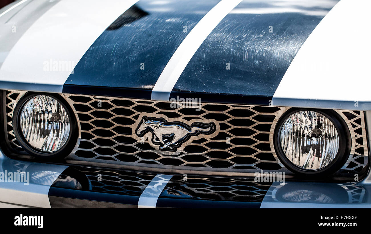 Mustang Banque D'Images