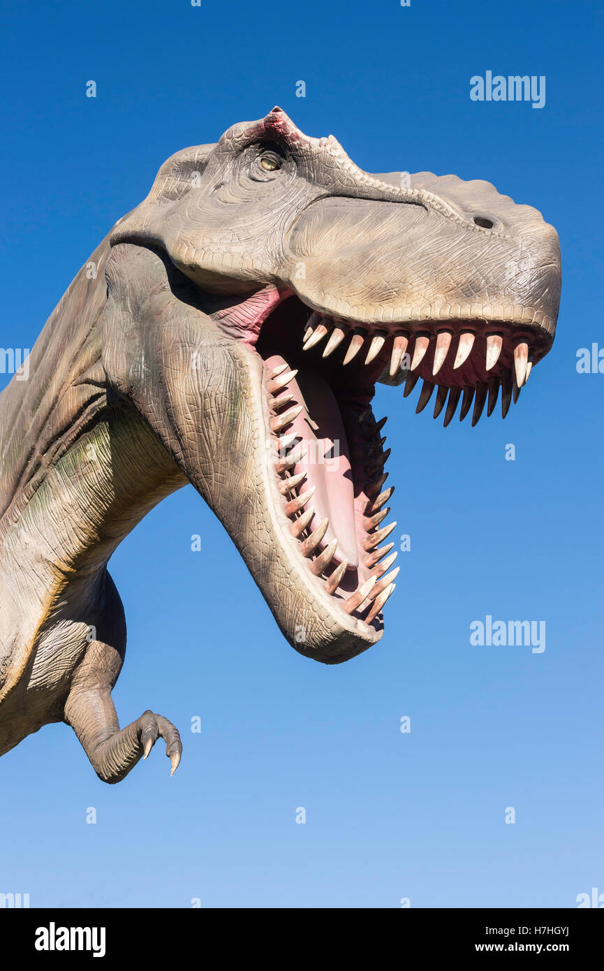 Tyrannosaurus rex/modèle statue, le Zoo de Calgary, Alberta, Canada Banque D'Images
