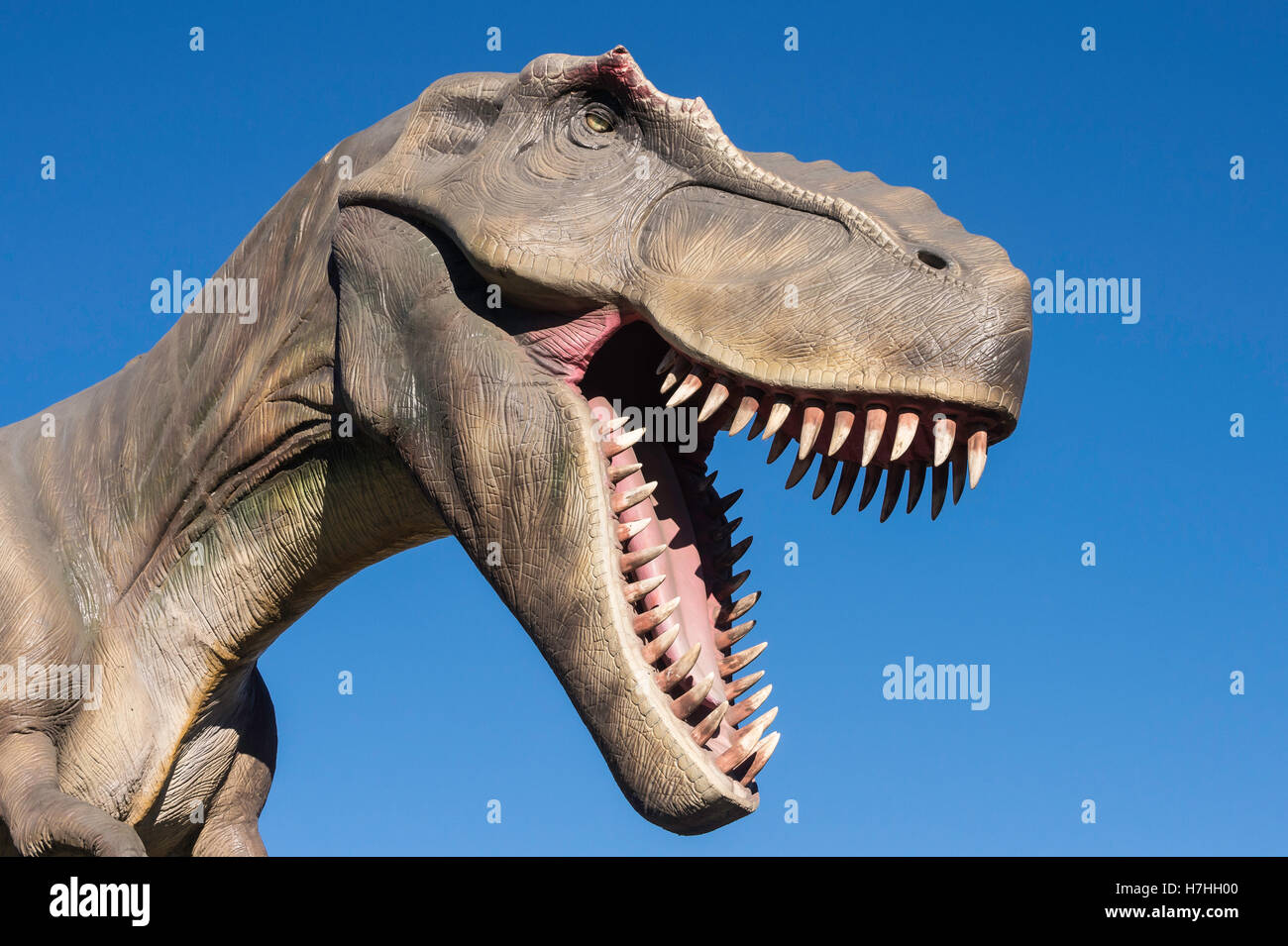 Tyrannosaurus rex/modèle statue, le Zoo de Calgary, Alberta, Canada Banque D'Images