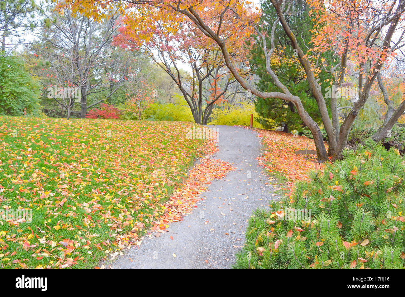 Jardin botanique de l'automne - Montréal - Canada Banque D'Images