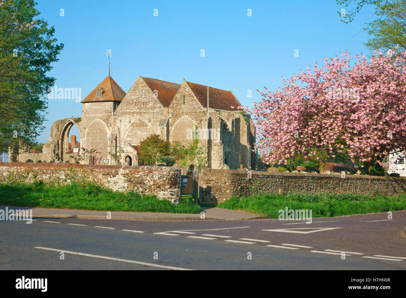 Fleur de printemps à l'Église Winchelsea East Sussex UK Banque D'Images