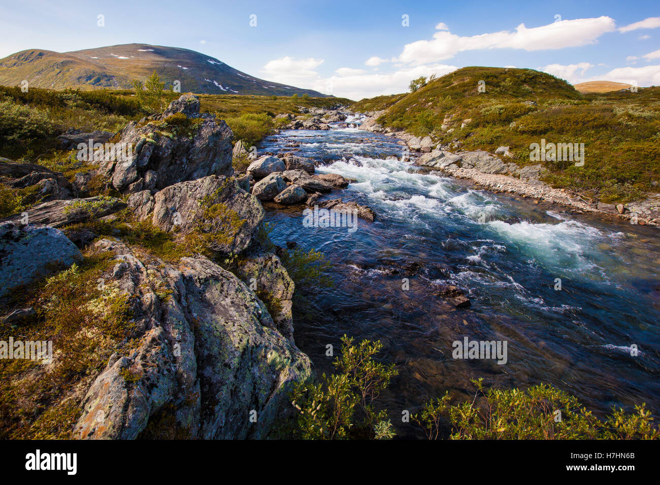Paysage ensoleillé Norvège montagnes Dovrefjell river Banque D'Images